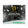 Ramesses All Season Goose Feather Down Duvet/Lightweight and Breathable - Ander Home